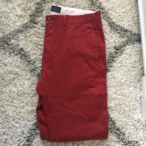 Levi Velvet Red Chinos